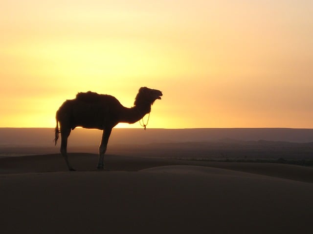 Marocco vacanze consigli utili