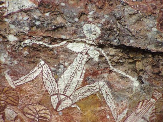 darwin-kakadu