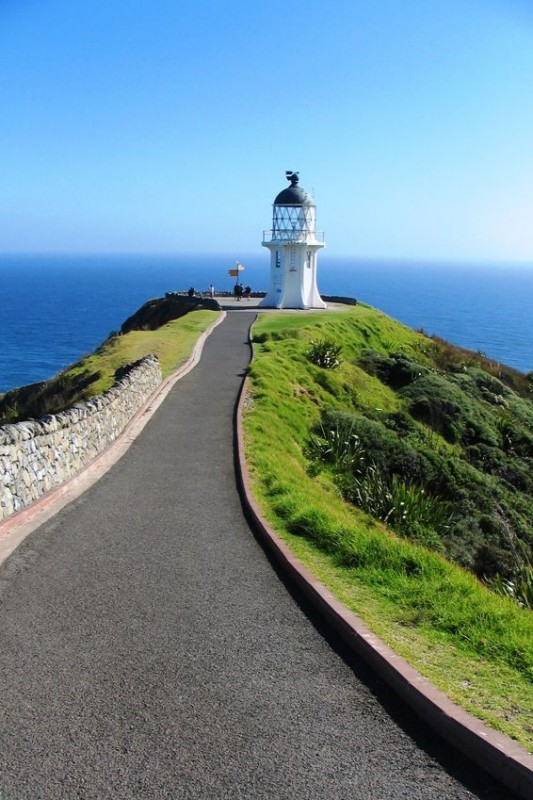 nuovazelanda-Cape Reinga