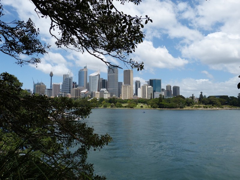 sidney-1
