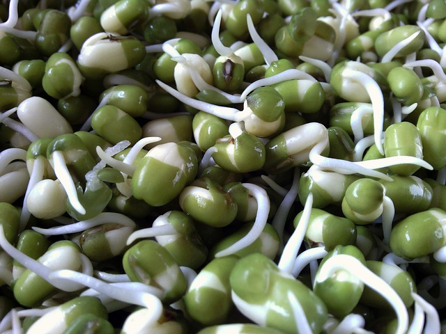 Ricetta Fool Nabet (germogli di fagiolo)