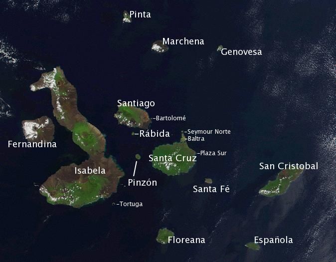 isole-galapagos
