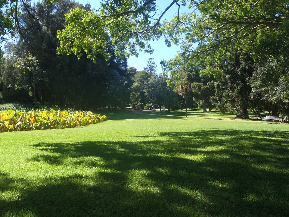 adelaide-giaridnobotanico