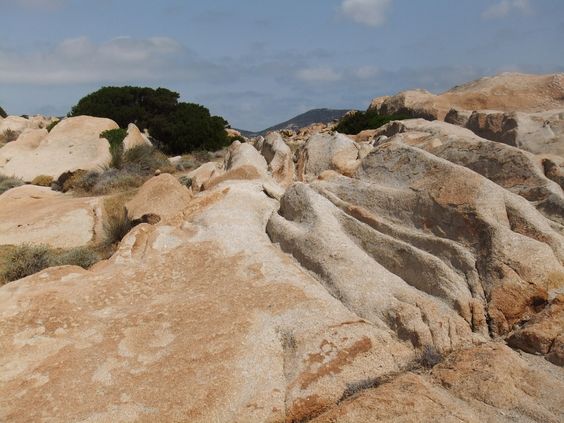 asinara-granito