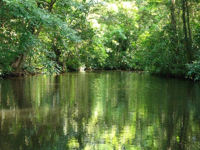costarica-tortughero