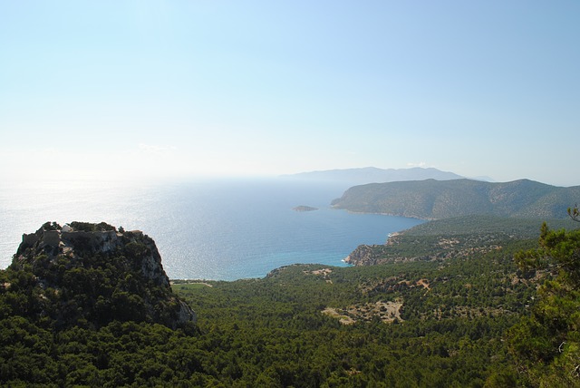 rodi-3