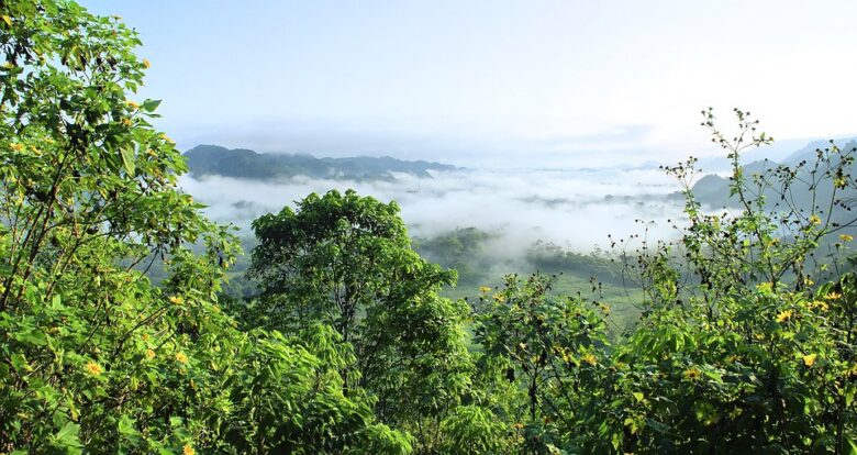 alta-verapaz-panorama