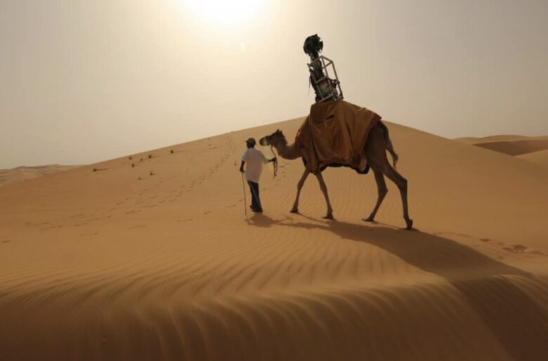 deserto-liwa-cammello
