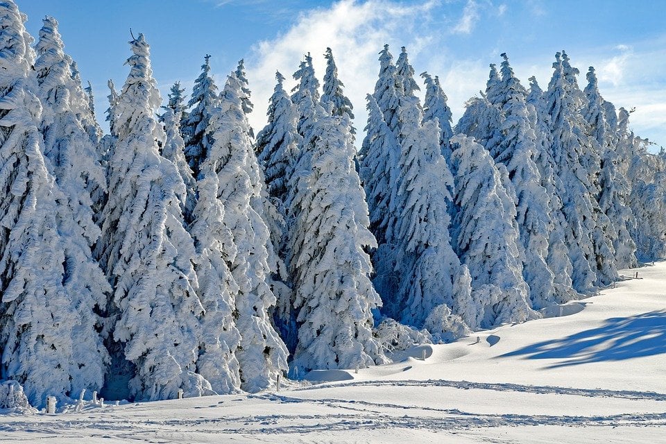 roccaraso-neve