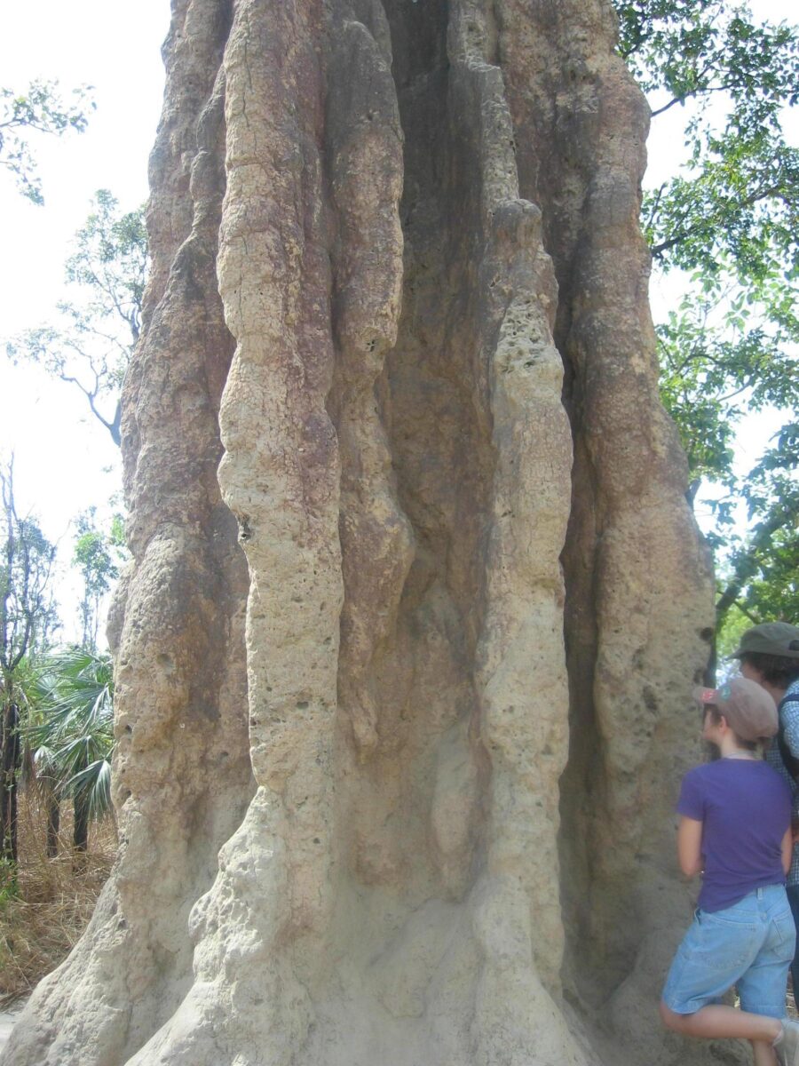 australia1 125