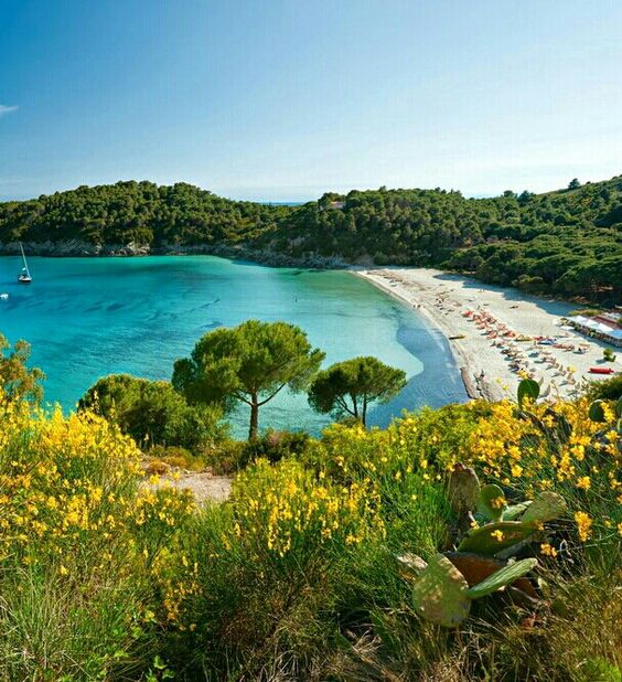 spiaggeitalia-fetovaia