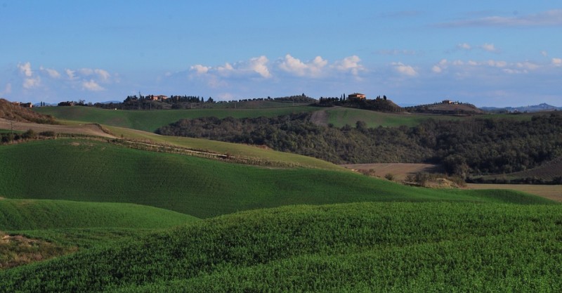 siena-2