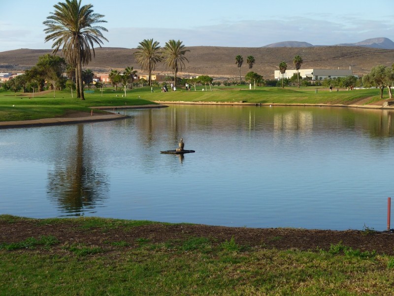fuerteventura-natura