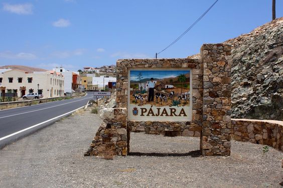 fuerteventura-pajara