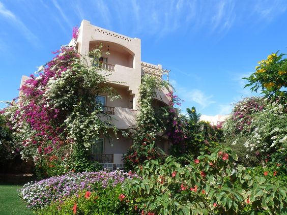 marsaalam-floriana2