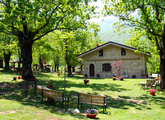 terminio-parcocerrus2