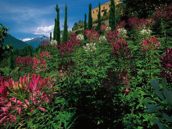 merano-giardinobotanico