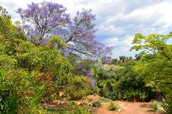monopoli-giardinobotanico