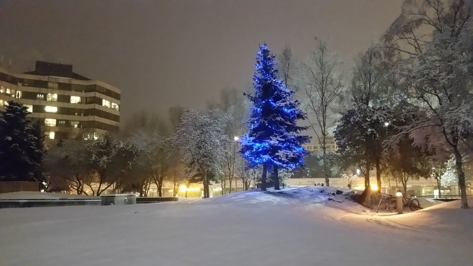 natale-albero
