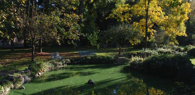 lucca-giaridno-botanico
