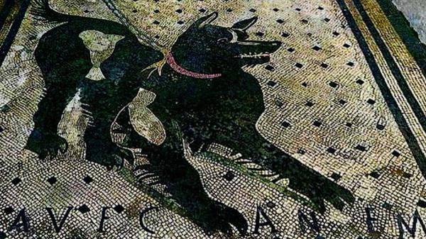 pompei-mosaico-cave-camen