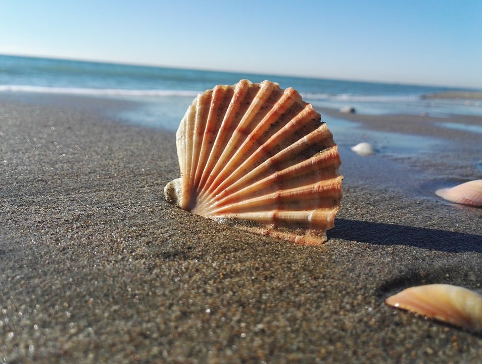 ostia-spiaggia
