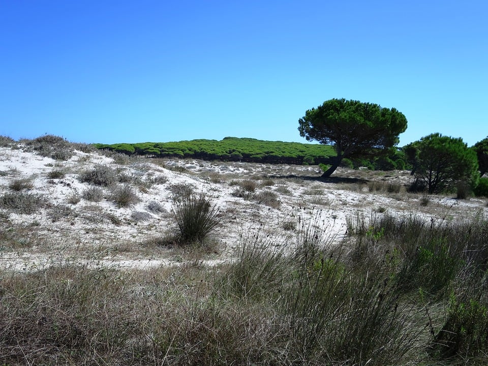 budoni-dune-naturali