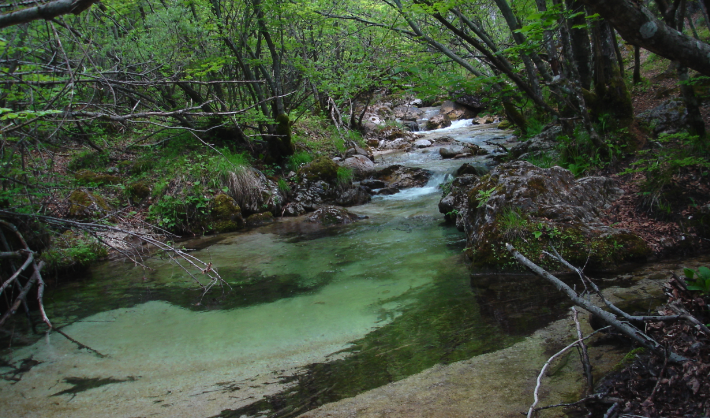 rivisondoli-la-camosciara