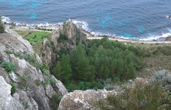 isola-delle-femmine-capo-gallo