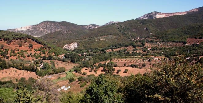massa-marittima-colline-metallifere