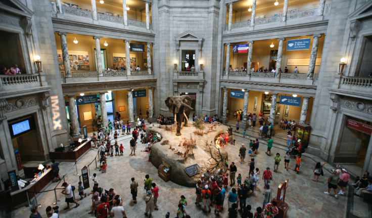 museo-Smithsonian National Museum-of-Natural-History