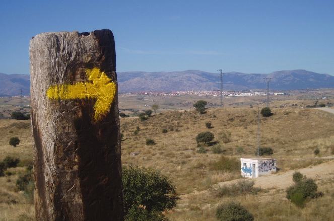 cammino-di-santiago-spagna
