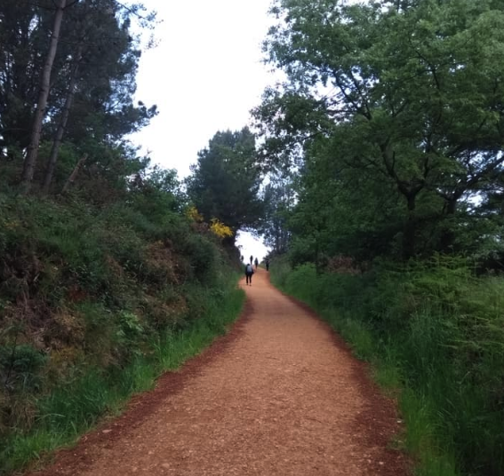cammino-di-santiago-trekking