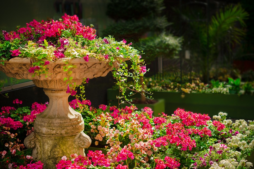 isole-borromee-giardino-botanico