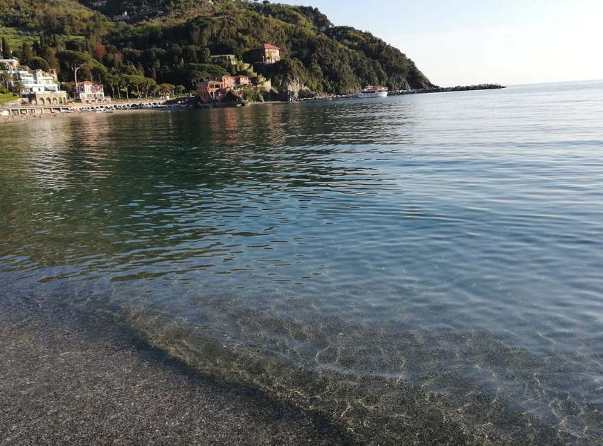levannto-mare