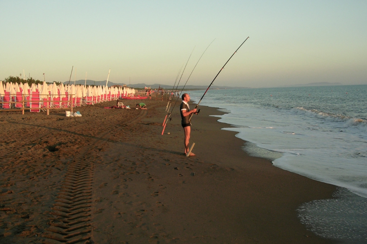 Marina di Bibbona spiagge e cosa fare
