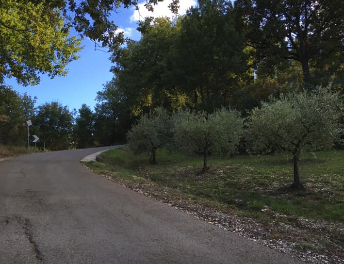 via-di-francesco-sud-tappa-13