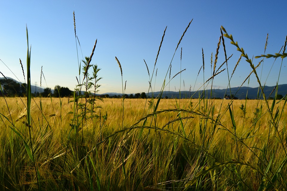 via-di-francesco-sud-tappa-5