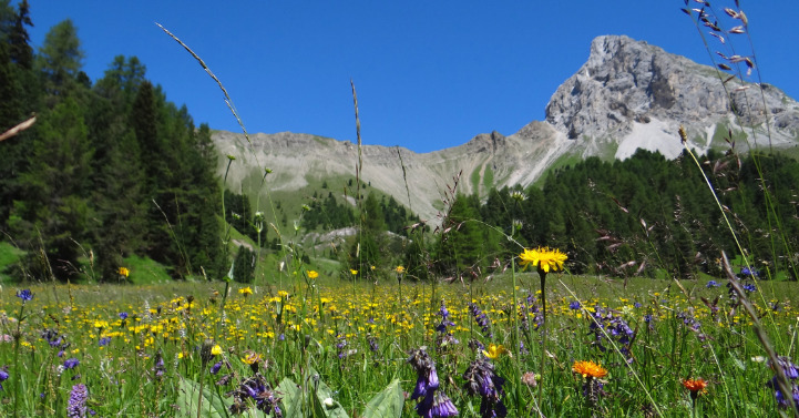 pozza-di-fassa-sentiero-incantato