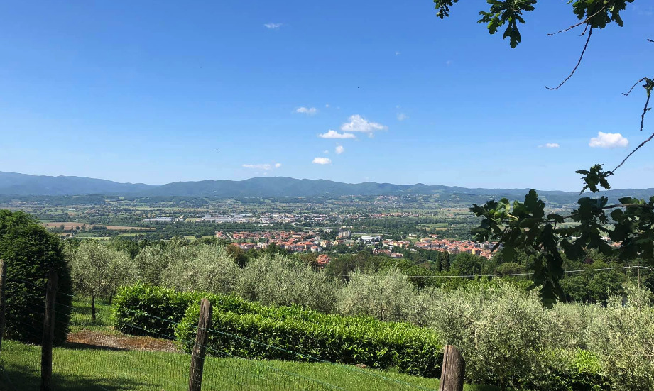 sansepolcro-panorana