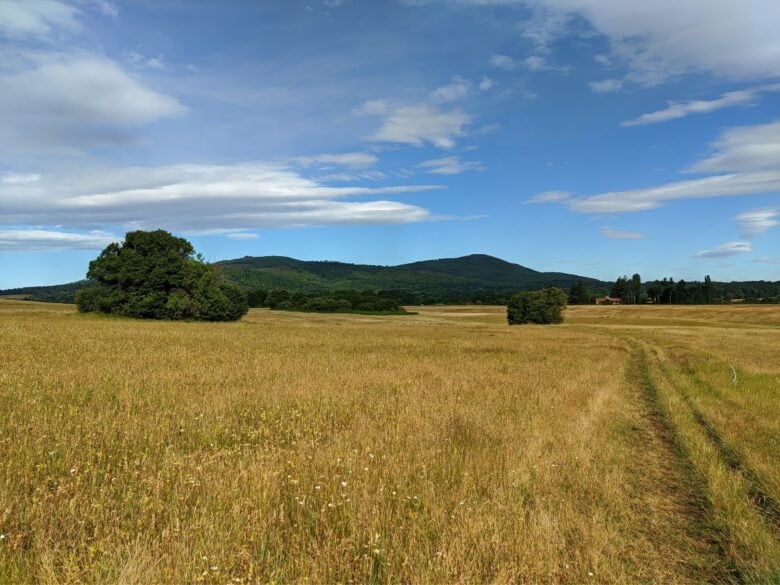 Parco-Regionale-dei-Castelli-Romani