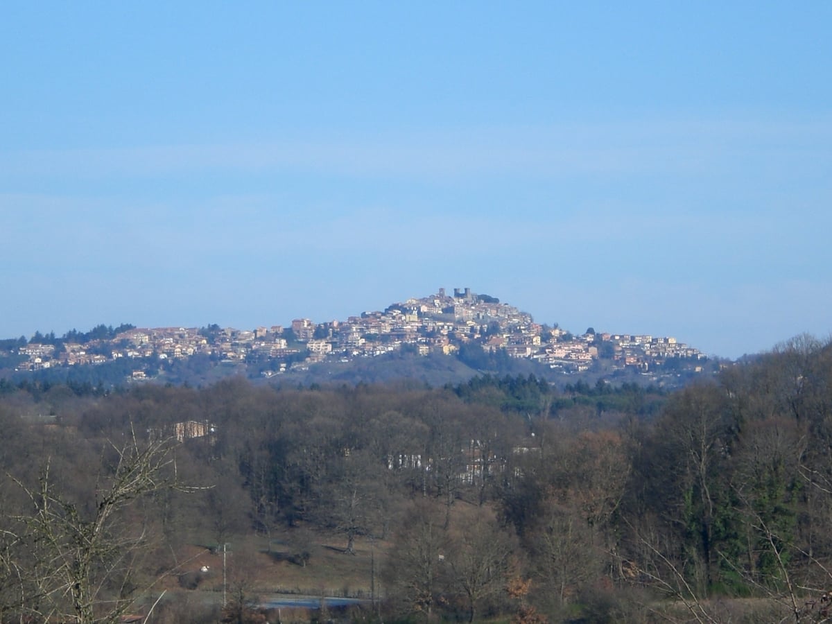 Rocca Priora dove mangiare bene spendendo poco