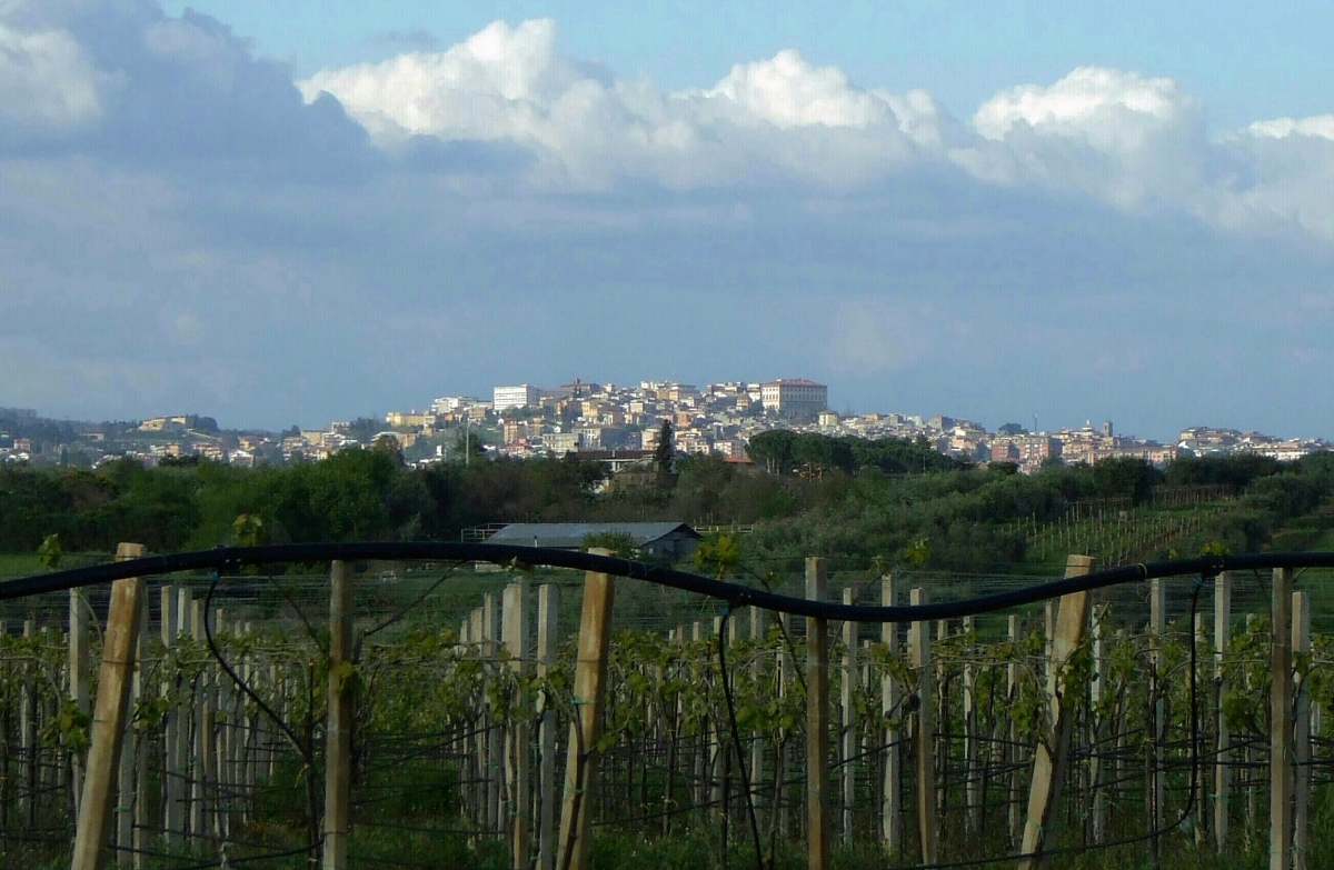 Visitare Velletri: Cosa vedere, cosa fare e centro storico