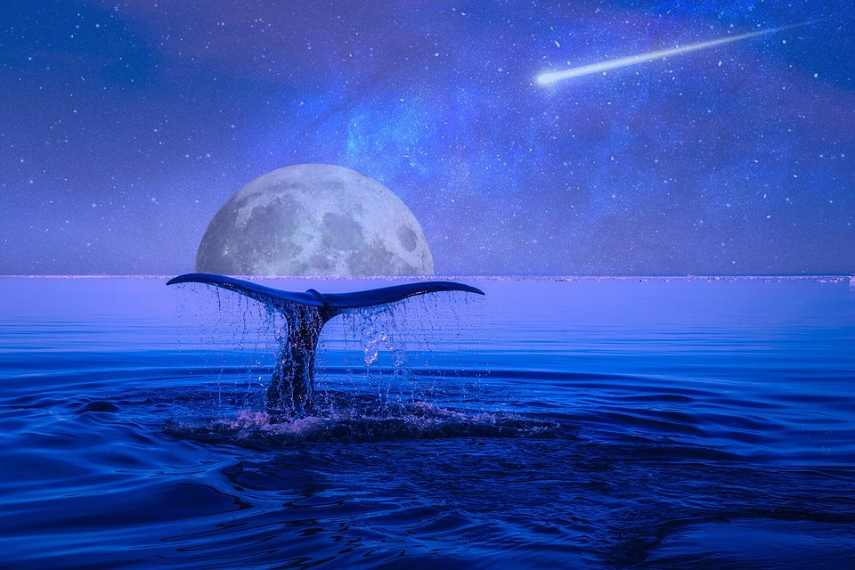 Orionidi: Quando vedere le Stelle Cadenti in Autunno