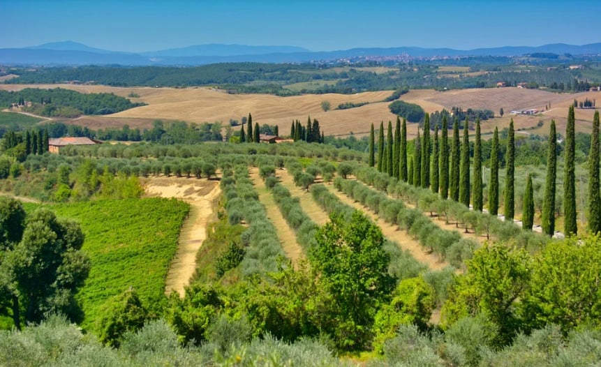 toscana-cipressi