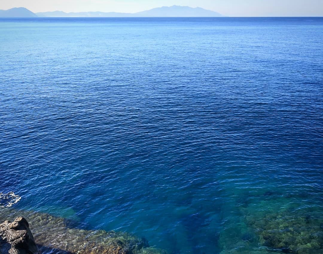 mare-populonia