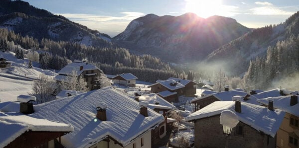 mete-green-sauris
