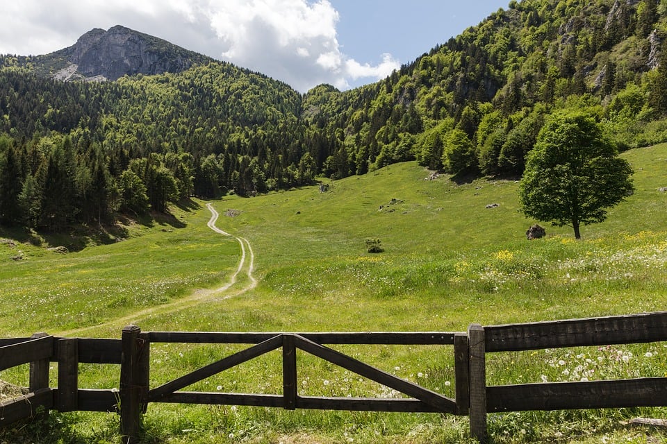 mete-green-trento