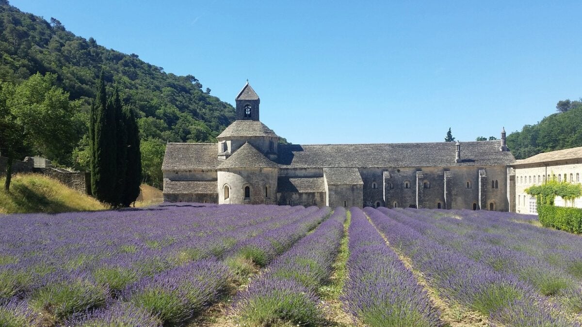 viaggi-olfattivi-francia