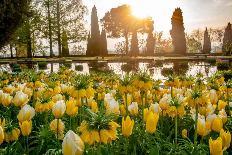 Viaggi floreali: i 10 luoghi più belli d&#8217;Italia da visitare durante la fioritura primaverile